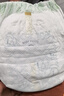 babycare金山茶花拉拉裤XL34片(12-17kg)婴儿尿不湿超薄透气新生柔花苞裤 实拍图