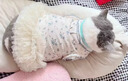 阿莫尔狗狗衣服公主风碎花蕾丝可牵引蓬蓬裙小型犬比熊可爱透气薄款夏季 粉色碎花-网纱蓬蓬裙【舒适透气带牵引扣】 XS(建议1-3斤具体参考胸围背长) 实拍图