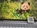毕亚兹 RJ45网线延长线 六类cat6类网线网口接头延长器 千兆网络宽带接口连接线 纯铜双绞线3米 WX13 实拍图