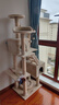 华元宠具（hoopet）猫爬架超大型猫窝猫树一体特大号猫爬柱猫架子猫玩具用品猫咪别墅 实拍图