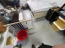 贝初众狗围栏宠物围栏室内狗狗宠物栅栏家用狗笼子小中大型犬猫围栏折叠 95*50*70cm【5片+1门-适合中小型犬】 自由拼接围栏 加厚加高 实拍图