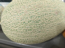 京鲜生 海南哈密瓜 西州蜜/西周蜜 1粒 单果2.5斤起 生鲜水果 实拍图