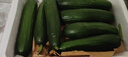 京鲜生山东精品嫩水果黄瓜 净1.6斤单果70g左右 水嫩精选幼瓜 源头直发 实拍图