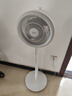 美的（Midea）【暴风循环】空气循环扇大风量摇头电风扇家用台式落地扇轻音卧室节能小风扇柔风轻羽扇 FGA24TQ 实拍图