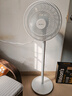 格力（GREE）【花精灵Se】一级能效直流变频轻音节能遥控电风扇卧室落地扇静音家用风扇柔风桌面电扇 实拍图
