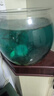 YEE鱼缸杀菌养水三件套亚甲基蓝+硝化细菌+生物净水剂1185ml 实拍图