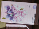 漫花悬挂式底部抽纸家用实惠装整箱装纸巾厕纸面巾纸卫生纸批发JX 绣球花 4层 920张*4提 实拍图