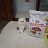 皇家成猫猫粮 营养均衡 F32 通用粮 1-7岁 4.5KG 实拍图