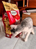 弗列加特猫粮 全价鲜肉天然粮 肠道养护配方 幼猫粮鸡肉味2kg【宠物金选】 实拍图