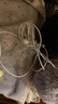 Apple/苹果 EarPods USB-C有线耳机 type-c有线耳机苹果耳机 苹果17有线耳机笔记本耳机游戏音乐 实拍图