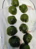 展艺食用艾草粉50g超细天然新鲜清明果青团艾草粑粉青团预拌粉烘焙粉 实拍图