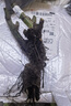 玫瑰花苗老桩绿植物盆栽月季蔷薇老根室内外阳台庭院特大花卉四季 46摩纳哥公爵（老桩苗四季开花） 实拍图