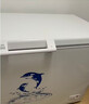 澳柯玛（AUCMA）307升单温冷柜家用减霜大冰柜 冷藏柜冷冻柜转换卧式冰箱雪糕柜一级能效 BC/BD-307HNE 以旧换新 实拍图