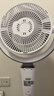 艾美特（AIRMATE）【小暴风PRO】空气循环扇家用大风力摇头电风扇卧室安静轻音小风扇桌面台式节能落地扇电扇 X231 实拍图