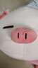 名创优品（MINISO）小猪B-BO弹力超柔趴姿公仔毛绒玩具玩偶抱枕靠枕娃娃生日礼物女 实拍图