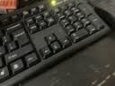 双飞燕（A4TECH） 旗舰KK-5520N 104键有线键盘鼠标套装台式机电脑笔记本外接键鼠防水办公打字舒适 KK-5520NP：PS2圆口+PS2圆口 实拍图