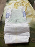 babycare金山茶花婴儿纸尿裤mini装NB34片(<5kg)新生儿尿不湿【新老混发】 实拍图