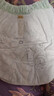 babycare金山茶花拉拉裤XL34片(12-17kg)婴儿尿不湿超薄透气新生柔花苞裤 实拍图