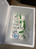 安井紫薯包 800g/袋 约27个 传统包子面点 速冻家庭装 早餐半成品 实拍图