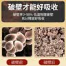 敖东破壁灵芝孢子粉礼盒 增强免疫力 中老年营养保健品礼物 3盒装 实拍图