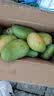 四川凯特芒 青黄皮 芒果9斤新鲜应当季热带水果现摘甜心芒 2枚装小果200g+净重400g+ 实拍图