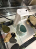 疯狂水草孔雀鱼活体水族宠物观赏鱼冷水耐活小型热带鱼淡水鱼苗 【3CM左右】精品孔雀鱼A 共8条 实拍图