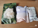 十月结晶一次性内裤女孕产妇出差旅行免洗纯棉内裤30条XXL【安全灭菌】 实拍图