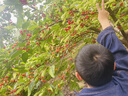 毛戈平无瑕双色遮瑕膏3g修容提亮遮盖泪沟黑眼圈斑点定妆母亲节520礼物 实拍图
