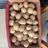 当季新果新疆薄皮生核桃5斤原味坚果孕妇零食核桃薄皮薄壳鲜核桃 【25年新果-5斤精选果】新疆薄皮生核桃-借助核桃夹 严选产品-25年新果-新疆薄皮核桃 实拍图