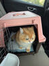 獒少保【带挂碗+垫板】宠物航空箱大号狗猫托运箱猫咪狗狗航空箱运输箱 二号 建议25斤以内 实拍图
