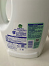 滴露（Dettol）衣物除菌液松木3L 内衣袜子衣物长效杀菌除螨 衣服消毒液儿童可用 实拍图