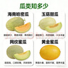 京鲜生 海南哈密瓜西州蜜/西周蜜  2粒5-7斤  生鲜水果礼盒  实拍图