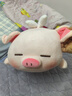 名创优品（MINISO）小猪B-BO翅膀款趴毛绒公仔玩具玩偶抱枕娃娃靠枕生日礼物女 实拍图