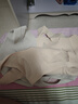 莫代尔2件无痕运动内衣女无钢圈文胸美背聚拢粉底液胸罩收副乳透气抹胸 实拍图