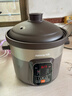 九阳（Joyoung）电炖锅 电砂锅 电炖盅 炖汤盅煲汤锅多功能锅 紫砂锅 燕窝炖盅 煮粥神器 熬粥锅 5L容量05AK 实拍图