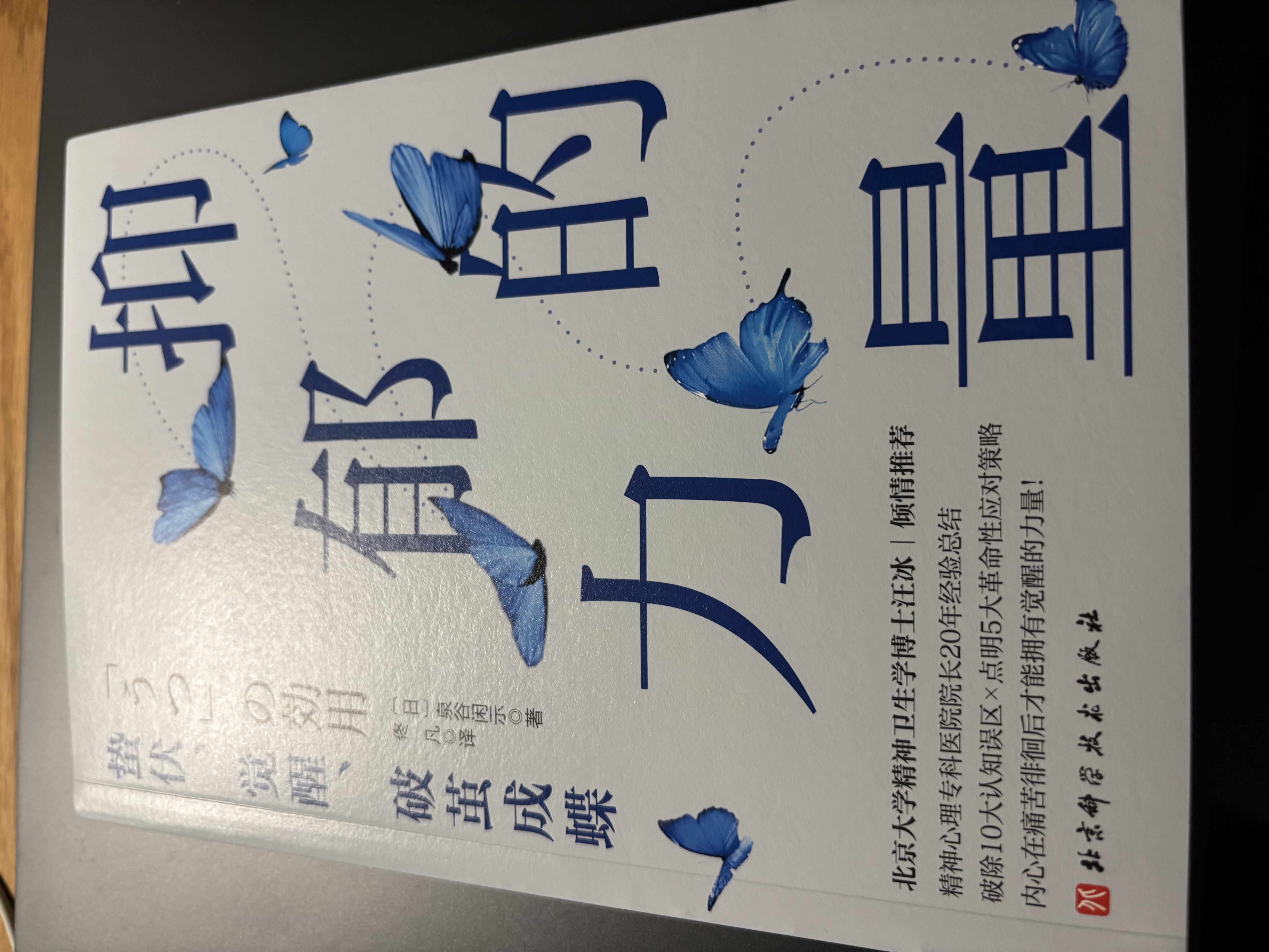 抑郁的力量 实拍图