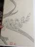 名家画谱系列：兰花白描写生集 实拍图