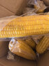 京鲜生 东北黄玉米260g*10棒 真空包装黏玉米棒粘玉米 源头直发 实拍图