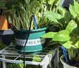 九千谷智能自动浇花机懒人浇花定时神器盆栽园林绿植喷洒滴灌滴水器9903 实拍图