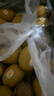 佳沛（zespri）新西兰新果季 阳光金果25-27粒原箱特大果单果124-146g 猕猴桃 实拍图