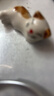 贝蒂斯（BETIS）【保真橄榄油】特级初榨橄榄油500ml*2礼盒 企业福利团购 实拍图