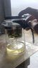 飘逸壶泡茶壶耐热高温玻璃沏茶过滤内胆冲茶器家用茶具套装 飘逸杯500mL1个 实拍图