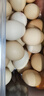 京鲜生【每日鲜蛋】无抗谷物鸡蛋30枚 3.18斤 当日产蛋 当日发货 实拍图