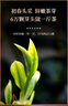 一杯香茶叶红茶武夷山头采金骏眉250g2026新茶礼盒装送礼自己喝散装古树 实拍图