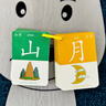 小象跳舞儿童宝宝幼儿园看图象形识字认字汉字卡片1-3-6岁1600字识字神器 实拍图