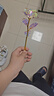 七彩炫光玫瑰花星空彩金浪漫情人节七夕送老婆女友生日礼物金箔 彩金玫瑰花【75%以上选择】 【送它一朵永不凋零的爱意玫瑰】 实拍图