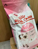 皇家幼猫猫粮 幼猫奶糕 K36 通用粮 4-12月 2KG 实拍图