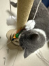 HELLOJOY猫抓柱剑麻猫抓板猫玩具耐抓耐磨不掉屑猫爬架立式自嗨解闷用品 实拍图
