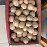 当季新果新疆薄皮生核桃5斤原味坚果孕妇零食核桃薄皮薄壳鲜核桃 【25年新果-5斤精选果】新疆薄皮生核桃-借助核桃夹 严选产品-25年新果-新疆薄皮核桃 实拍图