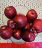 京鲜生甘肃天水花牛苹果 又大又红 净重8斤 单果200g以上 生鲜水果 实拍图